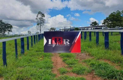 Fazenda à venda na Zona Rural, Figueirão 