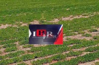 Chácara / sítio à venda no Jardim das Flores, Aparecida do Taboado 