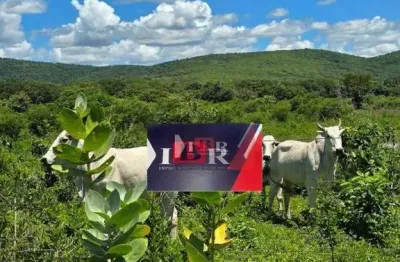Fazenda à venda na Zona Rural, Buritizeiro 