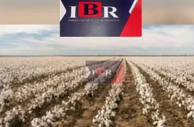 Fazenda à venda no Centro, Irecê 