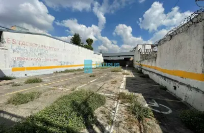 Terreno para locação, estacionamento, 600 m² , moema