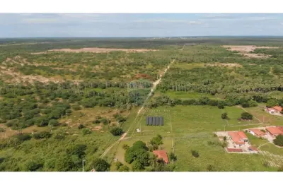 Fazenda à venda na Sítio Bela Vista Ou Cobé, 016, Povoado Entroncamento, Carnaubais