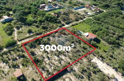Terreno murado de 3.000m² à venda na estrada de pium – próximo ao posto campo belo e ao bosque do coqueiral – por apenas r$ 65 mil!