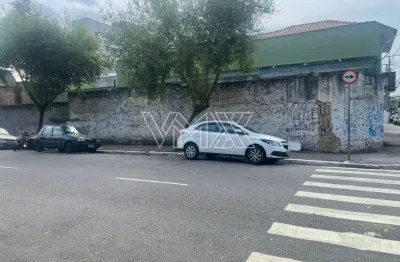 Terreno comercial para alugar na Rua Diamantina, 806, Vila Maria, São Paulo
