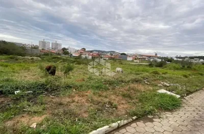 Terreno à venda na Rua Henrique Alvim Corrêa, 203, Areias, São José