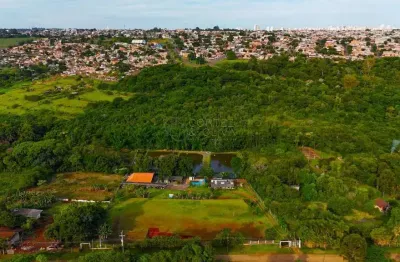 Chácara / sítio com 3 quartos à venda na manga larga, 496, recanto rancho ringo, cambé por r$ 2.300.000