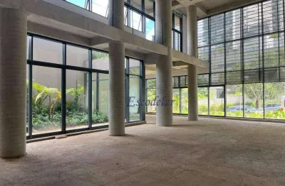 Ponto comercial com 10 salas à venda na Rua Mota Pais, Lapa, São Paulo