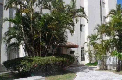 Apartamento com 3 dormitórios à venda, 63 m² por R$ 750.000,00 - Vila Guilherme - São Paulo/SP