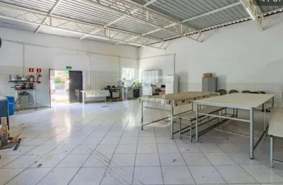 Galpão para alugar, 600 m² por R$ 20.003,00/mês - Vila Ipojuca - São Paulo/SP