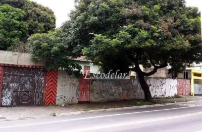 Terreno residencial à venda, jardim elisa maria, são paulo.