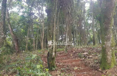 Terreno à venda, 12360 m² por r$ 7.000.000,00 - tucuruvi - são paulo/sp