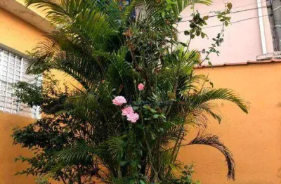 Casa à venda, 150 m² por r$ 550.000,00 - vila aurora (zona norte) - são paulo/sp