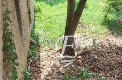 Terreno à venda, 400 m² por r$ 429.000,00 - vila nova mazzei - são paulo/sp