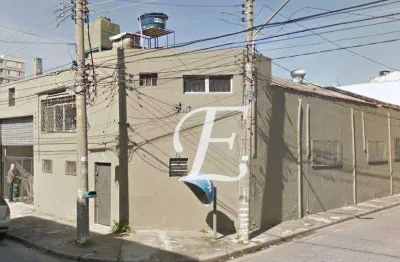 Galpão à venda, 250 m² por r$ 1.600.000,00 - vila guilherme - são paulo/sp