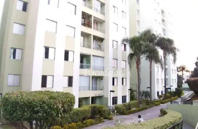 Apartamento com 2 dormitórios à venda, 50 m² por r$ 318.000,00 - vila amélia - são paulo/sp