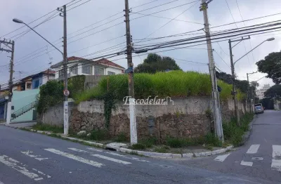 Terreno à venda, 800 m² por r$ 1.500.000,00 - vila irmãos arnoni - são paulo/sp