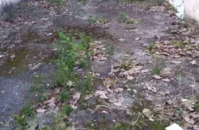 Terreno à venda, 1630 m² por r$ 2.670.000,00 - jardim mariliza - são paulo/sp