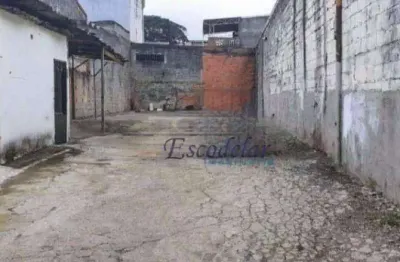 Galpão à venda, 315 m² por r$ 1.401.000,00 - vila gustavo - são paulo/sp