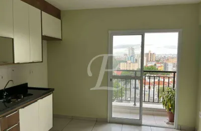 Apartamento com 1 quarto para alugar na Rua Maria do Carmo Sene, Vila Paulicéia, São Paulo