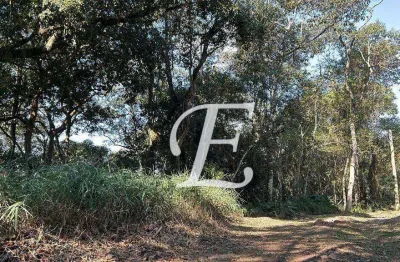 Terreno à venda, 1440 m² por r$ 270.000,00 - caraguatá - mairiporã/sp