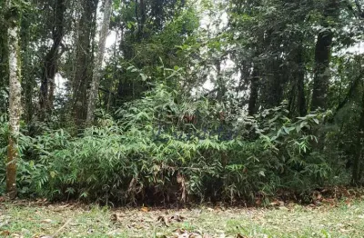 Terreno à venda, 1748 m² por r$ 380.000,00 - roseira - mairiporã/sp