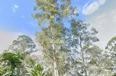 Terreno à venda, 1000 m² por r$ 1.000.000,05 - tremembé - são paulo/sp