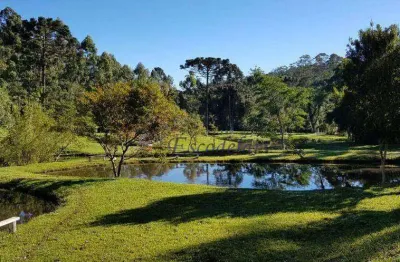 Sítio com 5 dormitórios à venda, 170000 m² por r$ 1.350.000,01 - ibiúna - ibiúna/sp