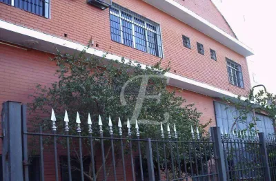 Galpão à venda, 1805 m² por r$ 15.900.000,00 - carandiru - são paulo/sp