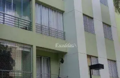 Apartamento com 2 dormitórios à venda, 55 m² por R$ 380.000,00 - Vila Amélia - São Paulo/SP