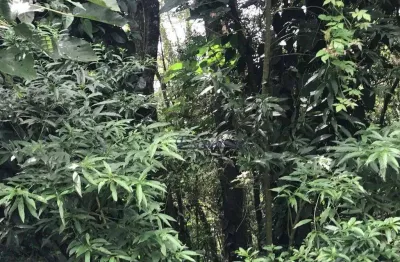 Terreno à venda, 675 m² por R$ 186.000,00 - Parque Petrópolis - Mairiporã/SP