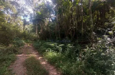 Terreno à venda, 1260 m² por R$ 195.000,00 - Serra da Cantareira - Mairiporã/SP