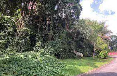 Terreno à venda, 896 m² por r$ 249.000,00 - serra da cantareira - mairiporã/sp