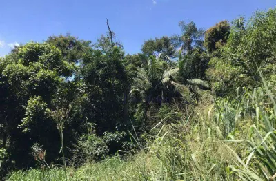 Terreno à venda, 840 m² por r$ 372.000,00 - parque petrópolis - mairiporã/sp