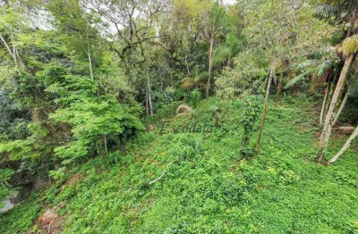 Terreno à venda, 1155 m² por r$ 340.000,00 - serra da cantareira - mairiporã/sp