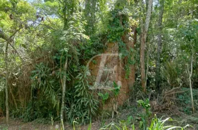 Terreno à venda, 2400 m² por R$ 345.000,00 - Caraguatá - Mairiporã/SP