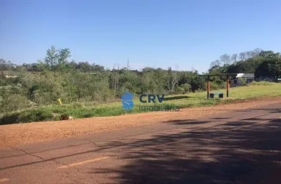 Terreno à venda, 8000 m² por r$ 4.000.000,00 - gleba palhano - londrina/pr
