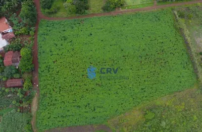 Chácara à venda, 20405 m² por r$ 800.000,00 - limoeiro - londrina/pr