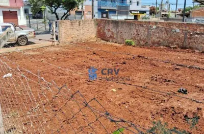 Terreno para alugar, 464 m² por r$ 2.200,00/mês - vila são caetano - londrina/pr