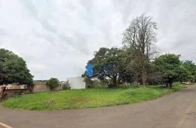 Terreno à venda, 1027 m² por r$ 890.000,00 - conjunto habitacional maria cecília serrano de oliveira - londrina/pr