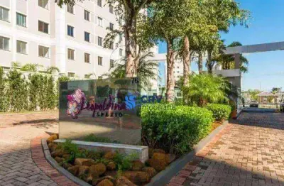 Apartamento com 2 dormitórios à venda, 46 m² por r$ 250.000,00 - gleba fazenda palhano - londrina/pr