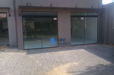 Loja para alugar, 110 m² por r$ 6.500,00/mês - vila ipiranga - londrina/pr