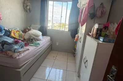 Apartamento com 2 quartos à venda no pacheco, palhoça.