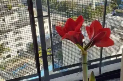 Apartamento à Venda Helbor Residence, Vila Mogilar, Mogi das Cruzes – SP 77m²  R$ 525.000,00