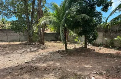 Terreno plano pronto para construir, rua asfaltada, luz,água e esgosto na porta