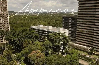 Md terrazza apipucos - varanda gourmet e 4 quartos em apipucos- alto padrão!