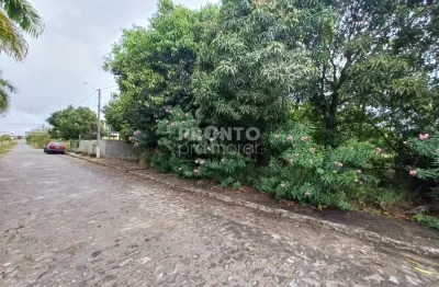 Chácara / sítio à venda na Avenida Portuaria, 6, Centro, Ipojuca