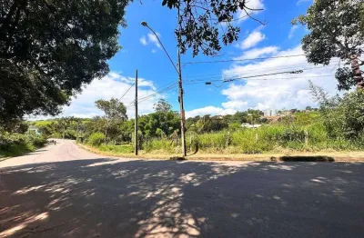 Área à venda, 3000 m² por r$ 420.011,00 - vargem - varginha/mg