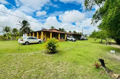 Fazenda com 4 dormitórios à venda, 250000 m² por r$ 1.000.000,00 - centro - touros/rn