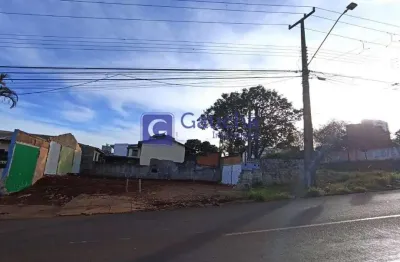 Terreno à venda no Ciro Nardi, Cascavel 