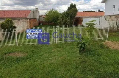 Terreno à venda no bairro maria luiza - cascavel/pr